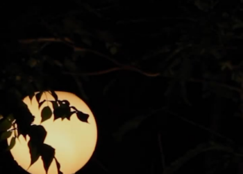 [ครบชุด] XU11194 ผัวแบบนี้ไม่มีก็ได้