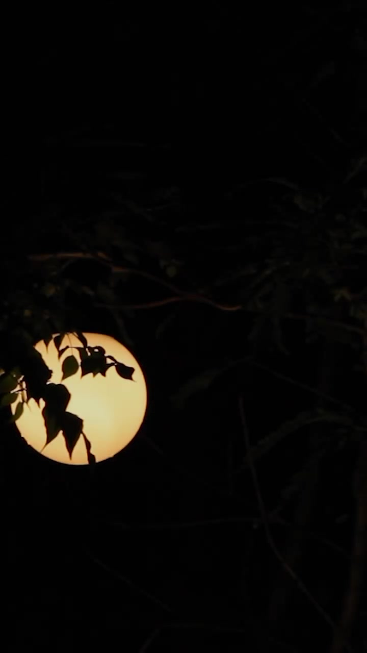 [ครบชุด] XU11194 ผัวแบบนี้ไม่มีก็ได้