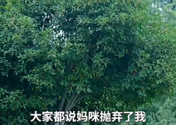 [ครบชุด] TQ11011 เจ้าสาวแก้เคล็ดที่ถูกยัดเยียดให้เขาแต่กลับเปลี่ยนชีวิตไปตลอดกาล