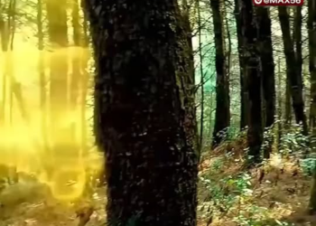 [ครบชุด] TQ11034 ฝึกวิชาในที่ลับมาแสนปี