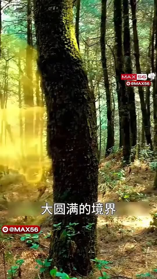 [ครบชุด] TQ11034 ฝึกวิชาในที่ลับมาแสนปี