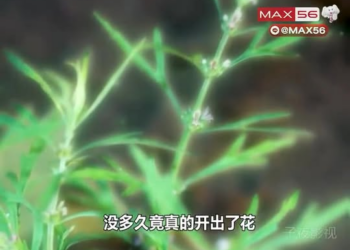 [ครบชุด] TQ11044 Facebook (21)