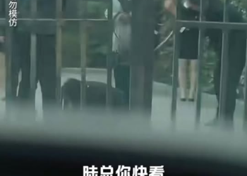 [ครบชุด] TQ11058 เมื่อความจริงถูกเปิดเผย ใครจะอยู่ใครจะไปในศึกรักนี้กันแน่