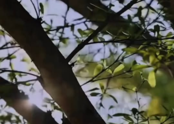 [ครบชุด] 2211045 Facebook (5)