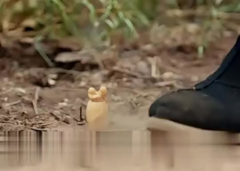 [ครบชุด] TQ11098 ดวงดาวนำโชคที่สวรรค์ประทานมา