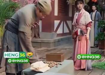 [ครบชุด] TQ11138 ลูกสาวปลอมของบ้านรวย กับลูกสาวแท้ของบ้านจนที่เหมือนนกฟีนิกซ์