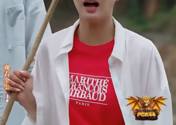 [ครบชุด] TQ11139 พายุฉลามยักษ์