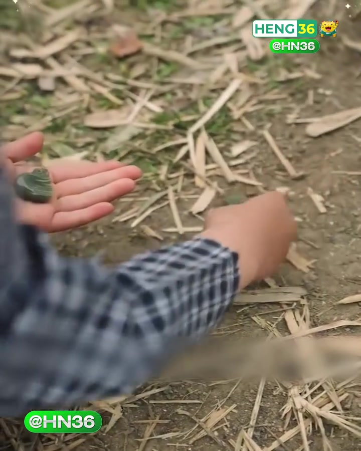 [ครบชุด] TQ11150 ไม่เชื่อคำพูดของหลานสาว ทำให้คุณปู่เกือบตกอยู่ในอันตราย