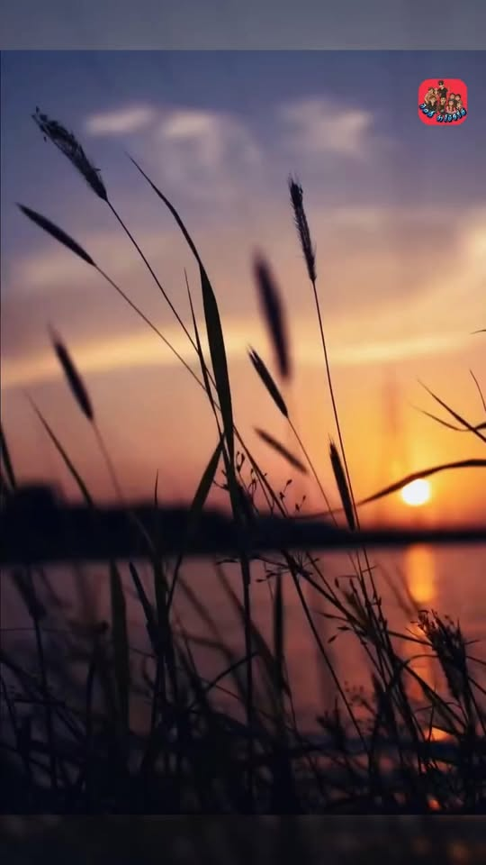 [ครบชุด] 2211082 พี่น้องในหมู่โจร